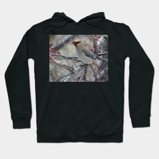 Bohemian waxwing feasting on berries Hoodie